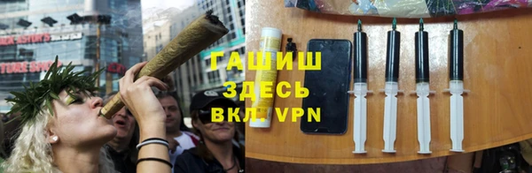 гашиш Богданович