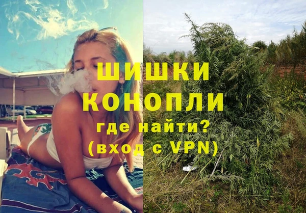 гашиш Богданович