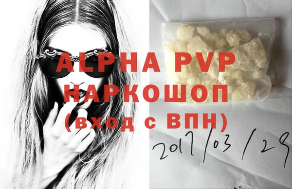 гашиш Богданович